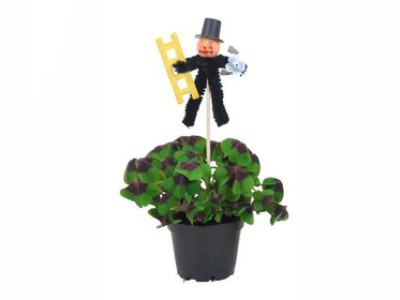 Glücksklee mit Schorsteinfeger