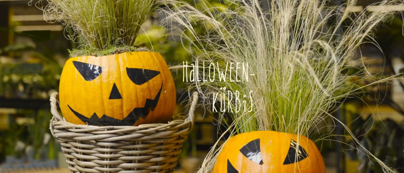 DIY-Idee: Halloweenk&uuml;rbis mit Wuschelkopf