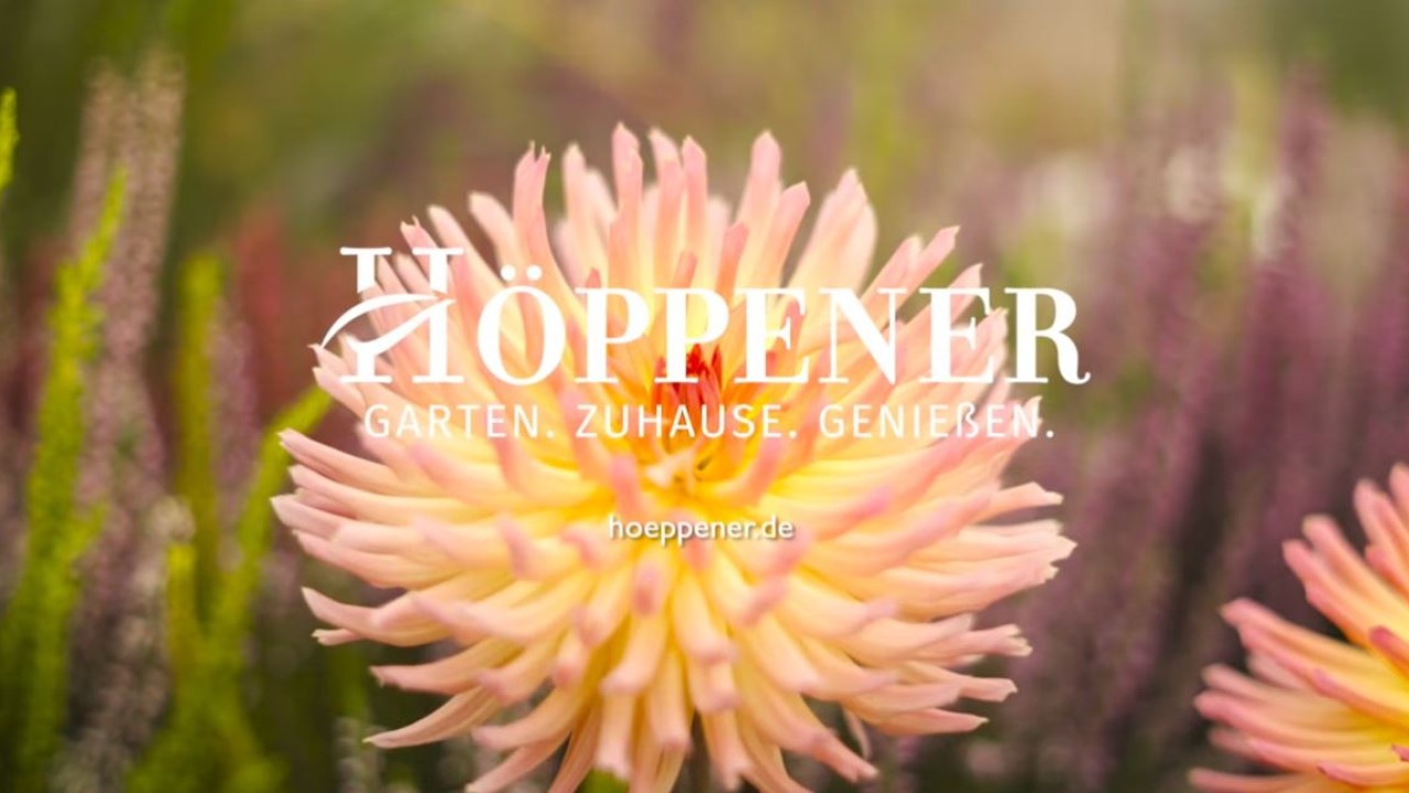 Your browser does not support the <video> tag