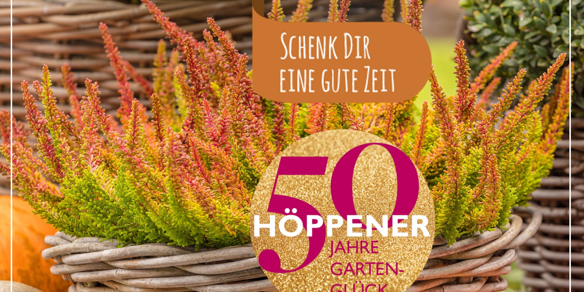 Gartencenter Höppener Bellandris Höppener Mein Gartencenter