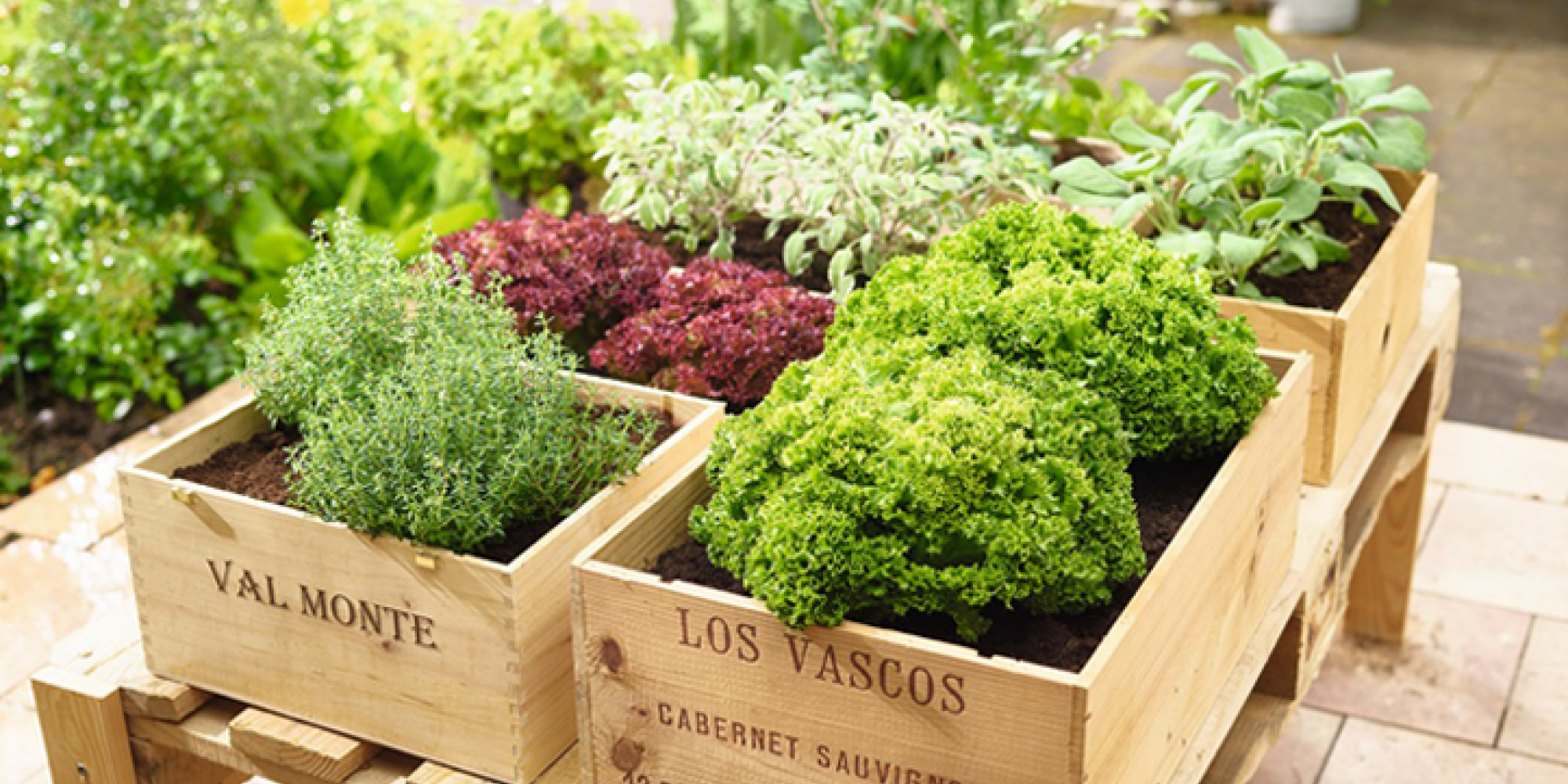 Gartencenter Höppener Bellandris Höppener Mein Gartencenter