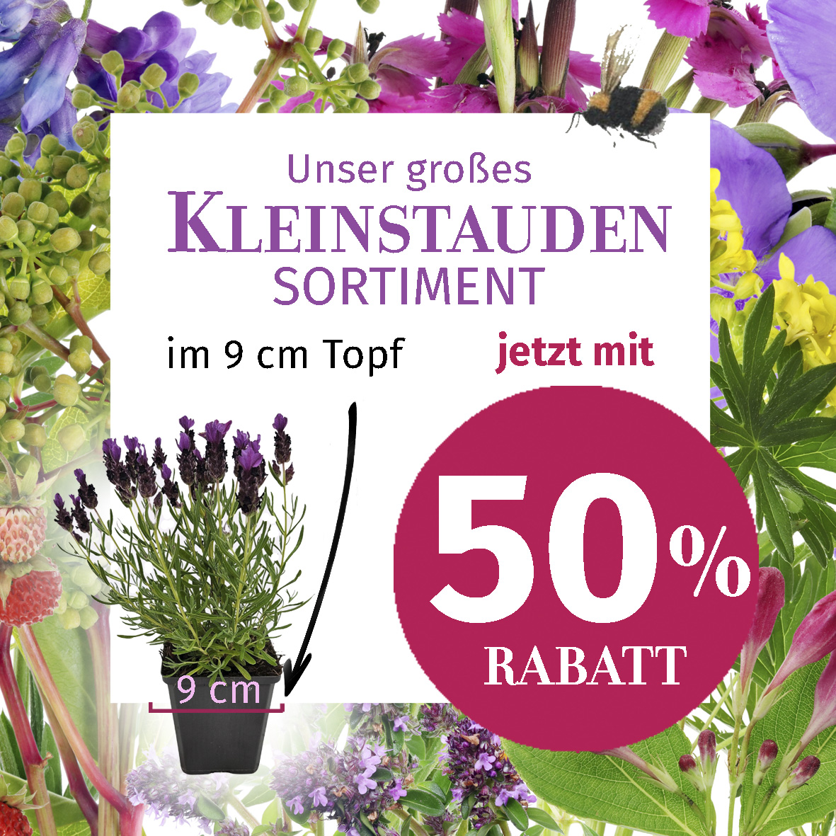49+ Mein Gartencenter 24, Der eigene garten kann zur entspannung